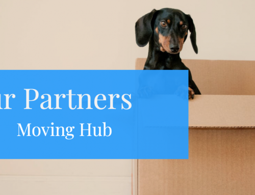 Our partners – Movinghub