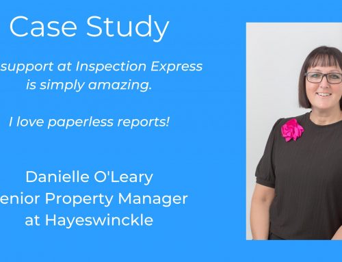 Case Study / Danielle O’ Leary / Hayeswinckle